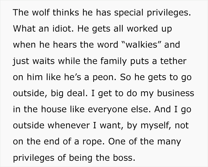 &#8216;Security Manager&#8217; Of A Rich Family Shares The Craziest Tasks He Has To Do Every Day