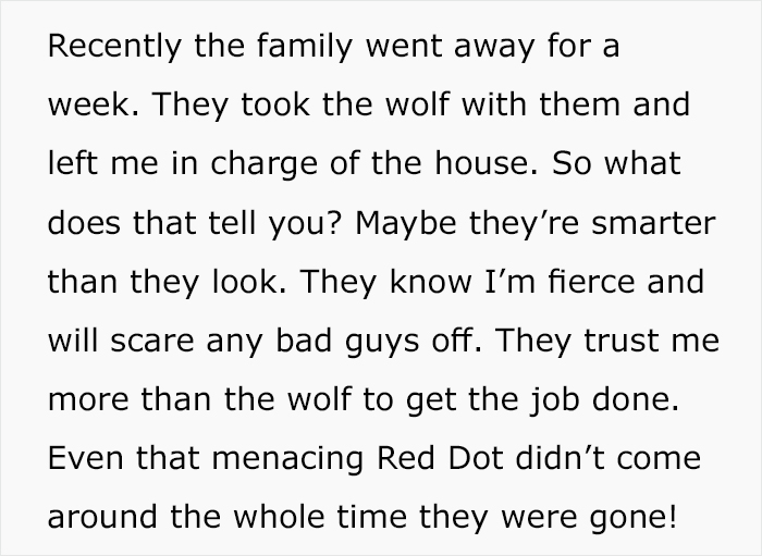 &#8216;Security Manager&#8217; Of A Rich Family Shares The Craziest Tasks He Has To Do Every Day