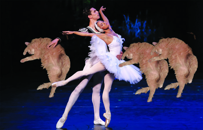 &#8216;Photoshop My Fat Cat Into Weird Things&#8217;