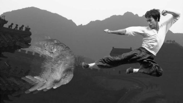 &#8216;Photoshop My Fat Cat Into Weird Things&#8217;