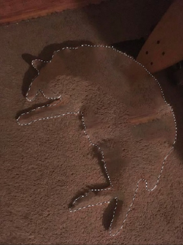 &#8216;Photoshop My Fat Cat Into Weird Things&#8217;