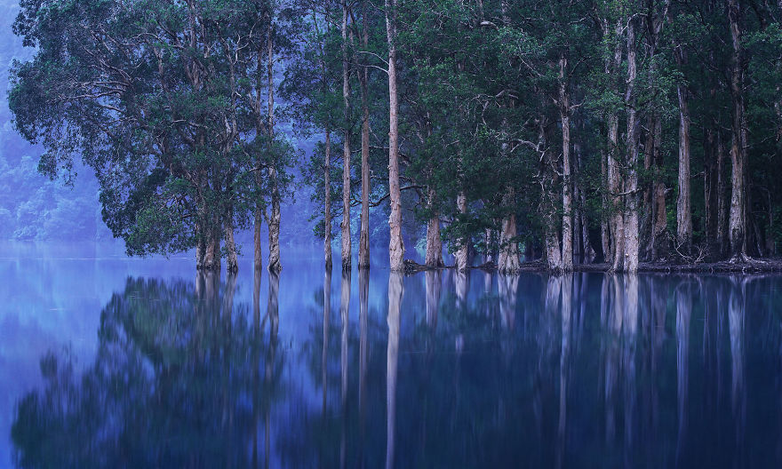 You Won&#8217;t Believe These 12 Photos Are Shot In One Of The World&#8217;s Densest Cities