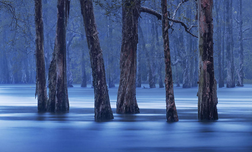 You Won&#8217;t Believe These 12 Photos Are Shot In One Of The World&#8217;s Densest Cities