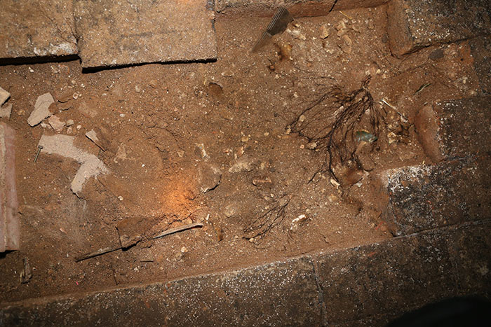 Guy Discovers A Trap Door In His Apartment Floor, Finds Something That Wasn’t In The Lease Guy Discovers A Trap Door In His Apartment Floor, Finds Something That Wasn’t In The Lease