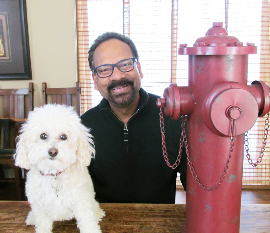 Pittsburgh Based Artist Creates Collection Of Fine Art For Refined Dogs