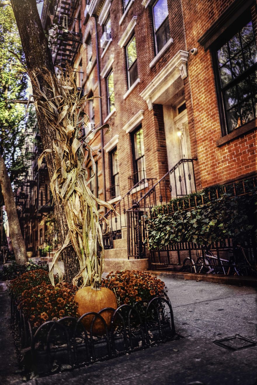 “Fall”Ing In Love With New York City “Fall”Ing In Love With New York City