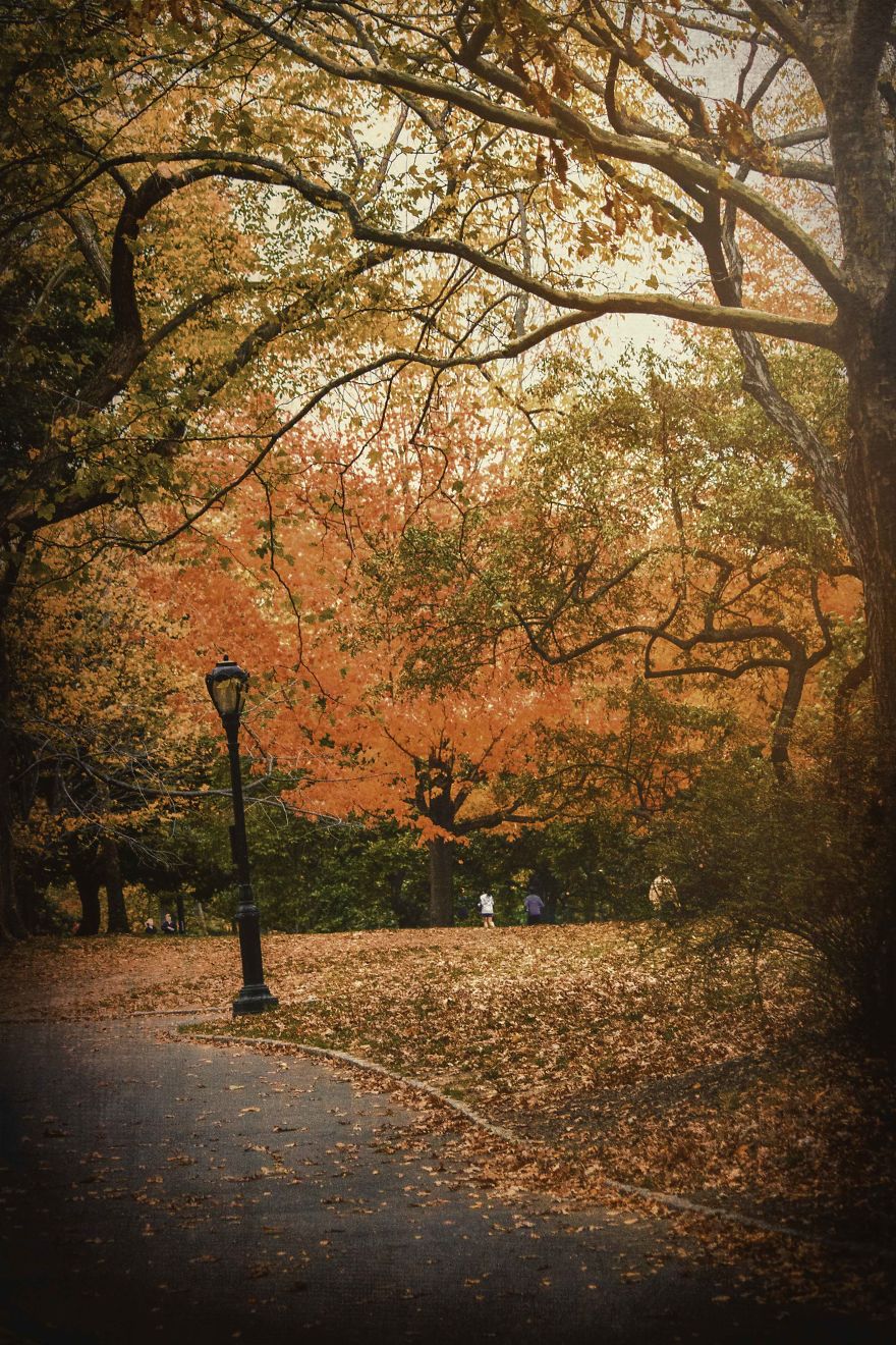 “Fall”Ing In Love With New York City “Fall”Ing In Love With New York City