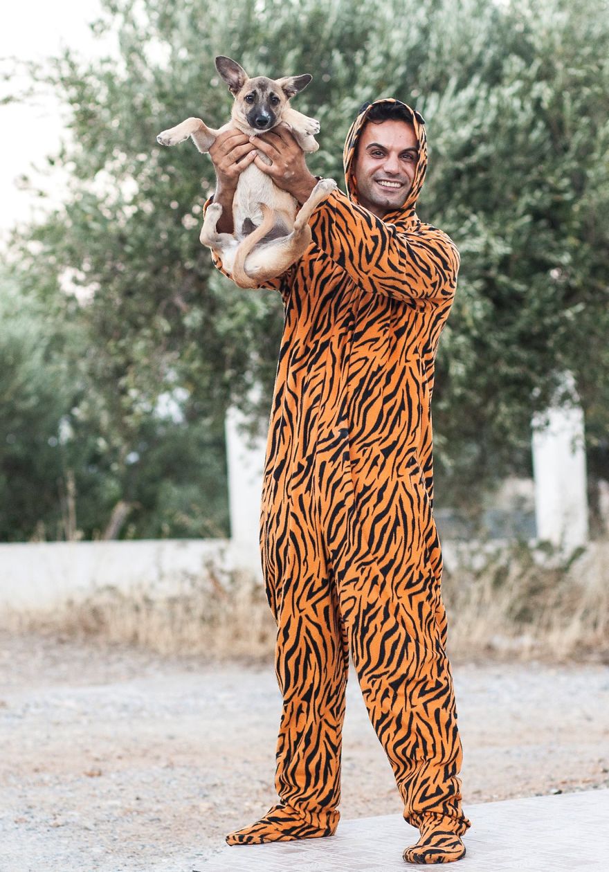 I’ve Photographed Hundreds Of People Wearing A Tiger Suit I’ve Photographed Hundreds Of People Wearing A Tiger Suit