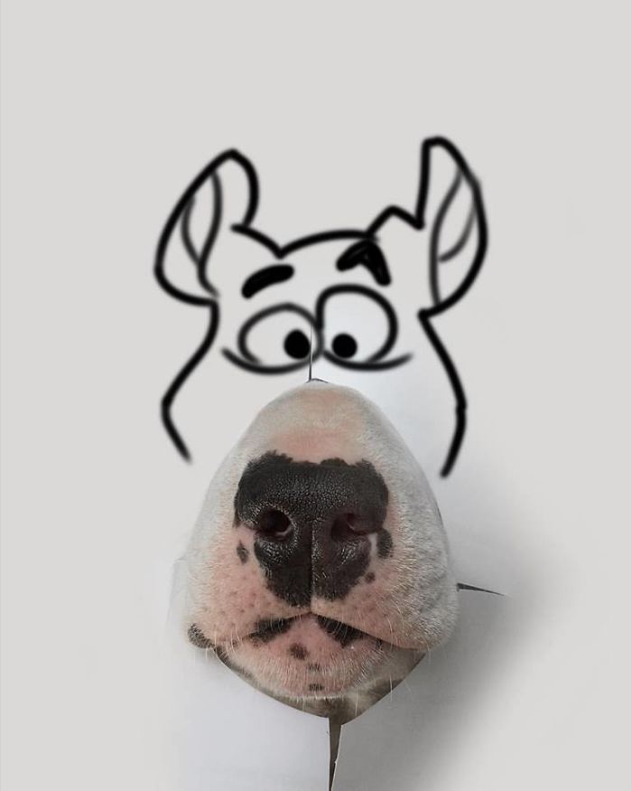 Guy Whose Wife Left Him With Nothing But A Dog Continues To Put Him In Fun Scenarios (116 New Pics) Guy Whose Wife Left Him With Nothing But A Dog Continues To Put Him In Fun Scenarios (116 New Pics)