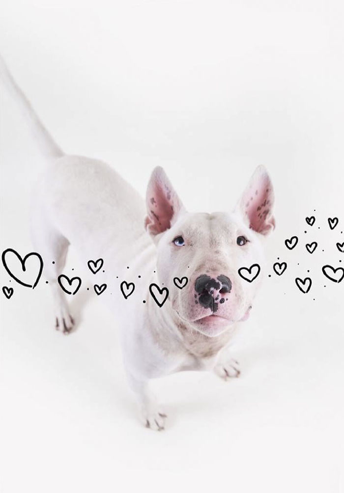 Guy Whose Wife Left Him With Nothing But A Dog Continues To Put Him In Fun Scenarios (116 New Pics) Guy Whose Wife Left Him With Nothing But A Dog Continues To Put Him In Fun Scenarios (116 New Pics)