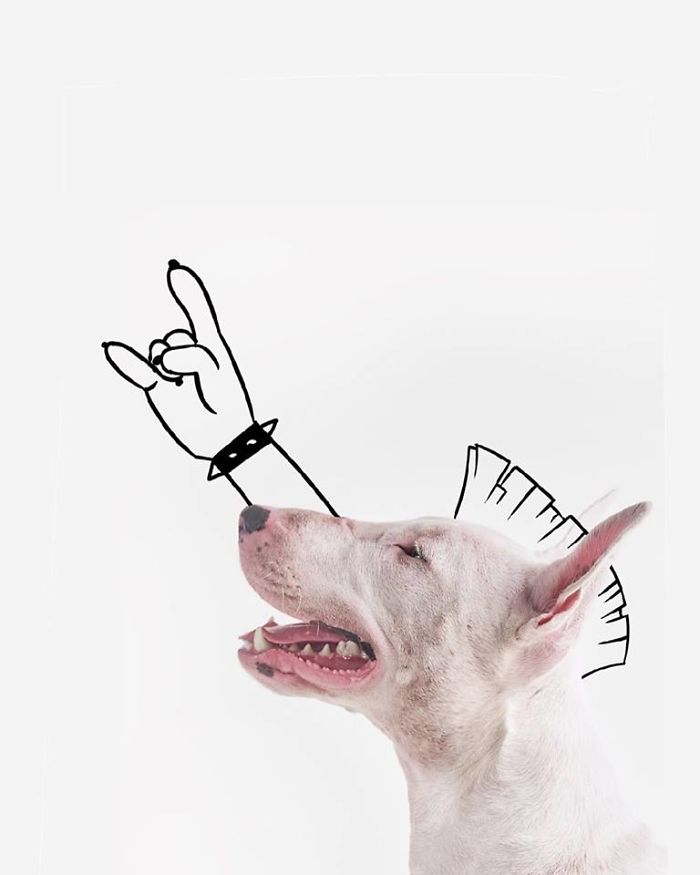 Guy Whose Wife Left Him With Nothing But A Dog Continues To Put Him In Fun Scenarios (116 New Pics) Guy Whose Wife Left Him With Nothing But A Dog Continues To Put Him In Fun Scenarios (116 New Pics)