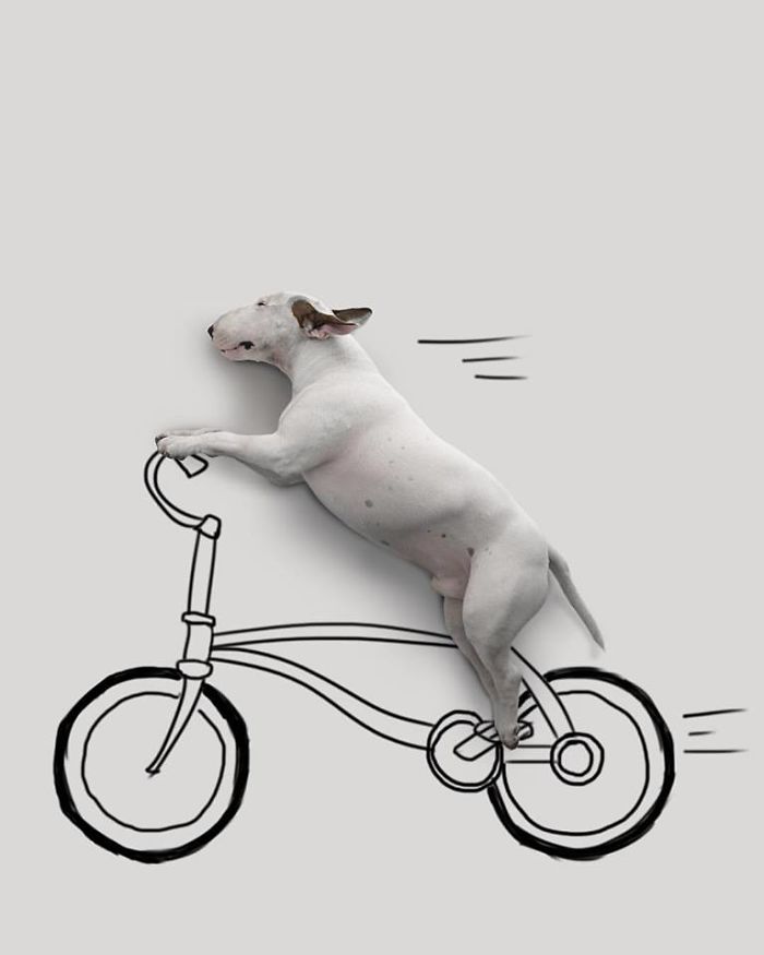 Guy Whose Wife Left Him With Nothing But A Dog Continues To Put Him In Fun Scenarios (116 New Pics) Guy Whose Wife Left Him With Nothing But A Dog Continues To Put Him In Fun Scenarios (116 New Pics)