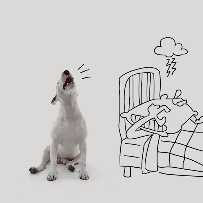 Guy Whose Wife Left Him With Nothing But A Dog Continues To Put Him In Fun Scenarios (116 New Pics) Guy Whose Wife Left Him With Nothing But A Dog Continues To Put Him In Fun Scenarios (116 New Pics)