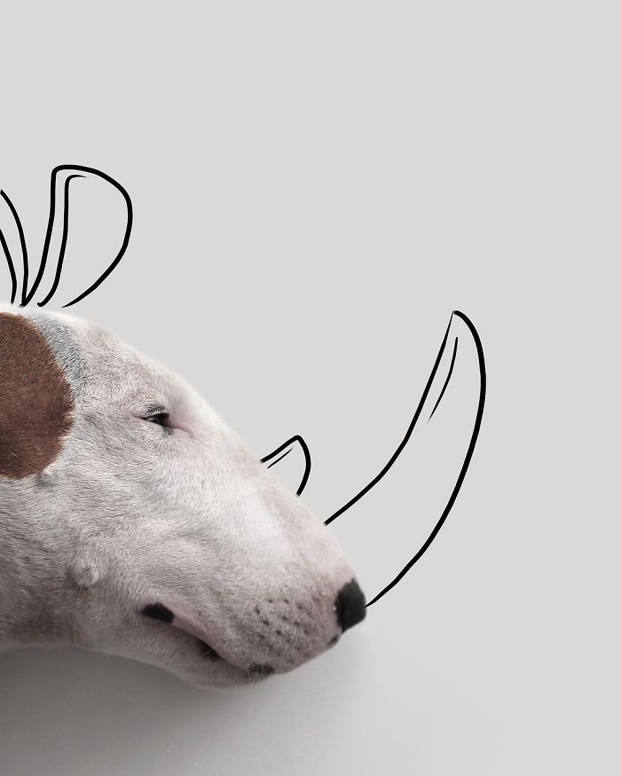 Guy Whose Wife Left Him With Nothing But A Dog Continues To Put Him In Fun Scenarios (116 New Pics) Guy Whose Wife Left Him With Nothing But A Dog Continues To Put Him In Fun Scenarios (116 New Pics)