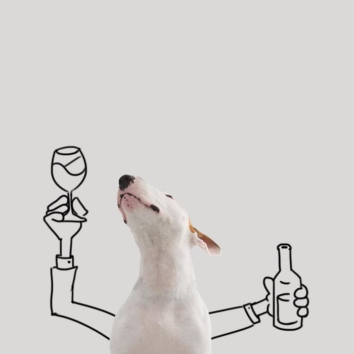 Guy Whose Wife Left Him With Nothing But A Dog Continues To Put Him In Fun Scenarios (116 New Pics) Guy Whose Wife Left Him With Nothing But A Dog Continues To Put Him In Fun Scenarios (116 New Pics)