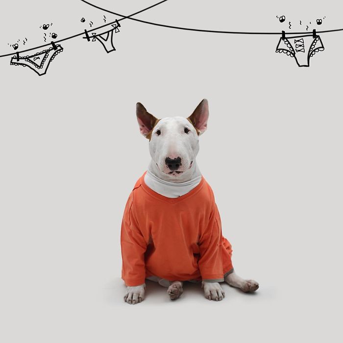 Guy Whose Wife Left Him With Nothing But A Dog Continues To Put Him In Fun Scenarios (116 New Pics) Guy Whose Wife Left Him With Nothing But A Dog Continues To Put Him In Fun Scenarios (116 New Pics)