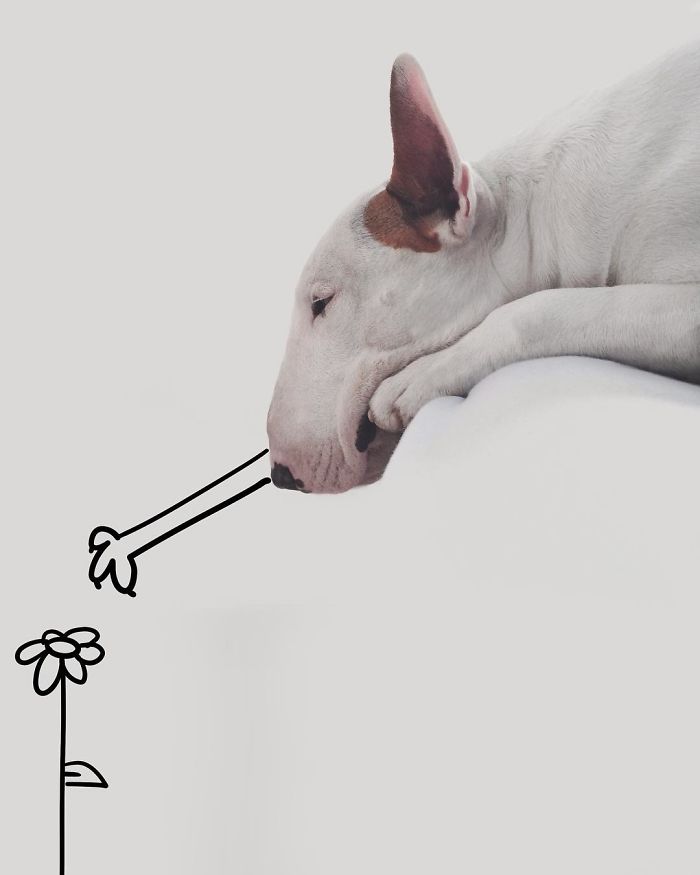 Guy Whose Wife Left Him With Nothing But A Dog Continues To Put Him In Fun Scenarios (116 New Pics) Guy Whose Wife Left Him With Nothing But A Dog Continues To Put Him In Fun Scenarios (116 New Pics)