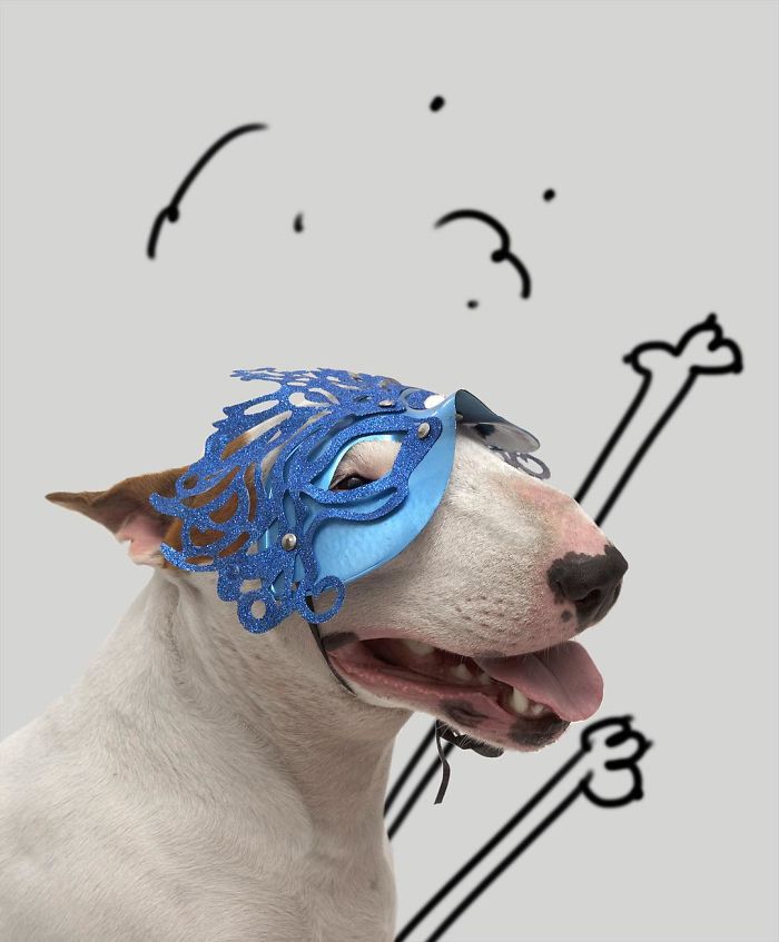 Guy Whose Wife Left Him With Nothing But A Dog Continues To Put Him In Fun Scenarios (116 New Pics) Guy Whose Wife Left Him With Nothing But A Dog Continues To Put Him In Fun Scenarios (116 New Pics)