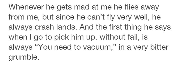 Tumblr Users Share Hilariously Unbelievable Encounters That Prove Parrots Have Sense Of Humor