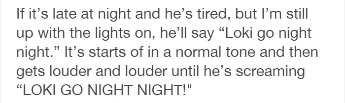 Tumblr Users Share Hilariously Unbelievable Encounters That Prove Parrots Have Sense Of Humor