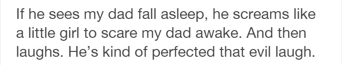 Tumblr Users Share Hilariously Unbelievable Encounters That Prove Parrots Have Sense Of Humor