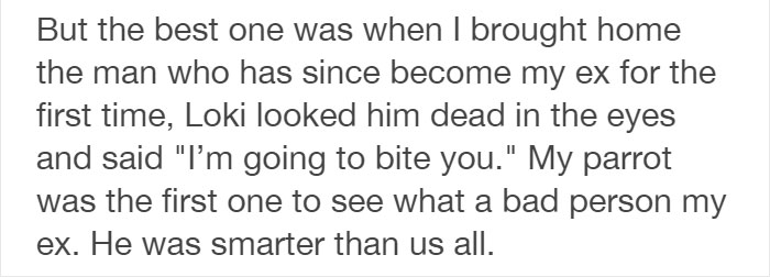 Tumblr Users Share Hilariously Unbelievable Encounters That Prove Parrots Have Sense Of Humor