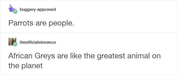Tumblr Users Share Hilariously Unbelievable Encounters That Prove Parrots Have Sense Of Humor