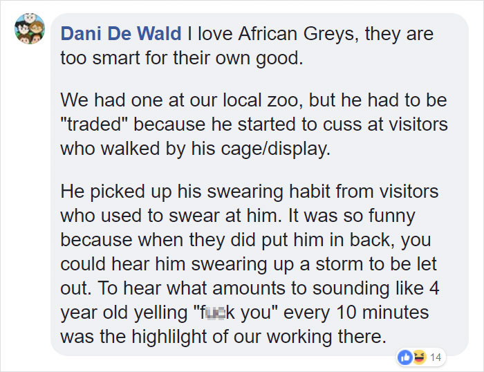 Tumblr Users Share Hilariously Unbelievable Encounters That Prove Parrots Have Sense Of Humor