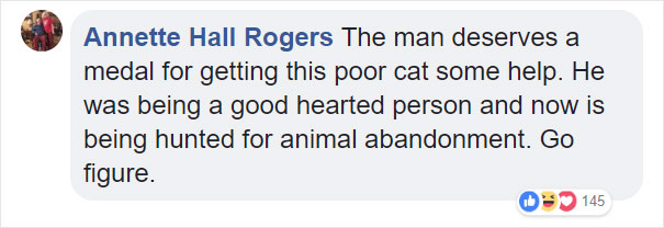 Someone Dumped A Cat At A Shelter Overnight In A Terrible Condition, But After Shaving Its Fur They Saw A True Beauty