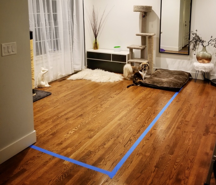 Here's How I Turned Our Formal Living Room Into A Home Office