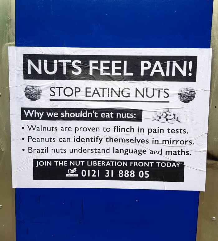 I Stick Up Fake Adverts With A Real Phone Number Attached And Record The Voicemails I Stick Up Fake Adverts With A Real Phone Number Attached And Record The Voicemails