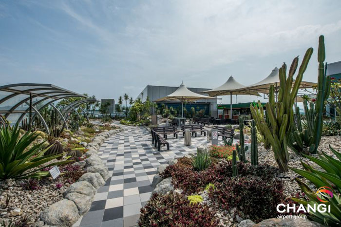 Waiting For A Plane In The World’s Best Airport Is Like Visiting Disneyland Waiting For A Plane In The World’s Best Airport Is Like Visiting Disneyland