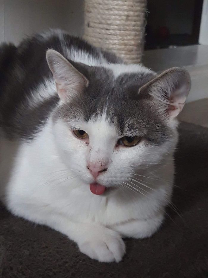 15 Reasons &#8216;Why I Hate My Job&#8217;