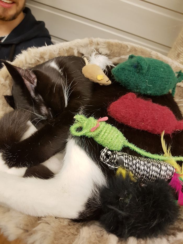 15 Reasons &#8216;Why I Hate My Job&#8217;