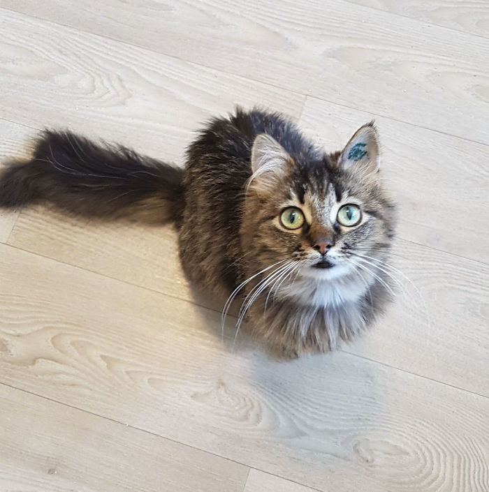 15 Reasons &#8216;Why I Hate My Job&#8217;