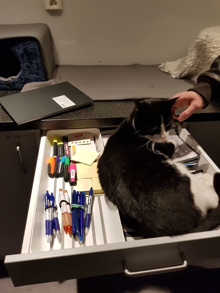 15 Reasons &#8216;Why I Hate My Job&#8217;