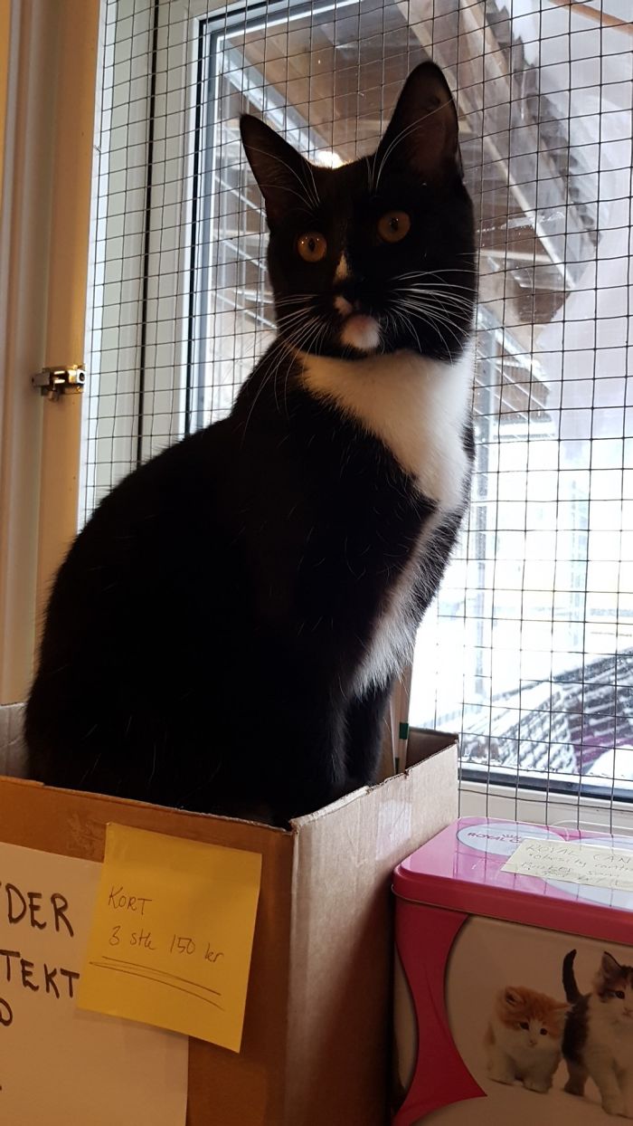 15 Reasons &#8216;Why I Hate My Job&#8217;