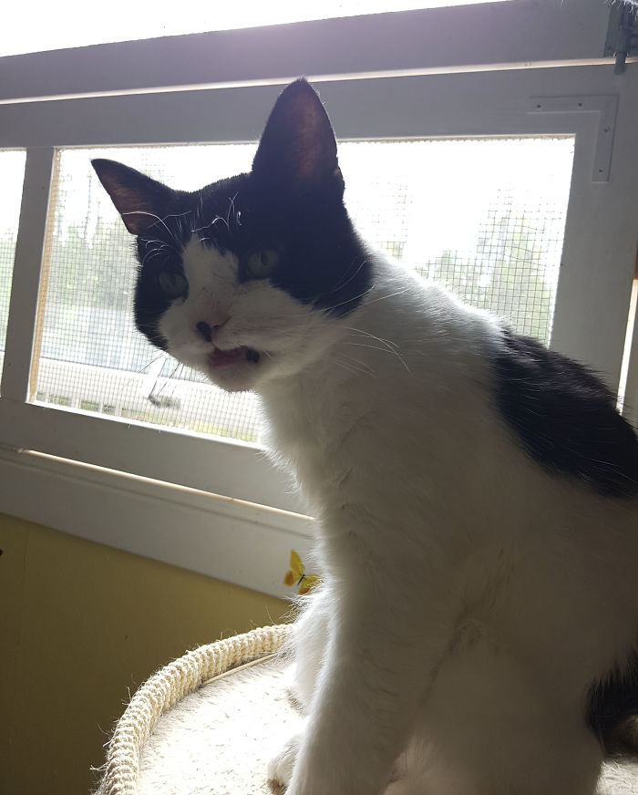 15 Reasons &#8216;Why I Hate My Job&#8217;