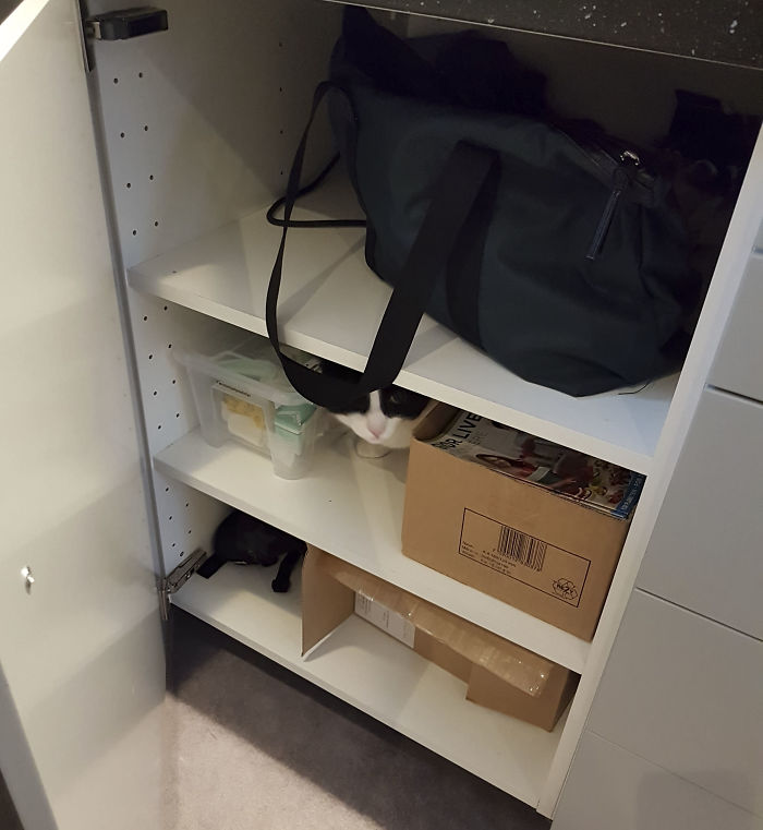 15 Reasons &#8216;Why I Hate My Job&#8217;