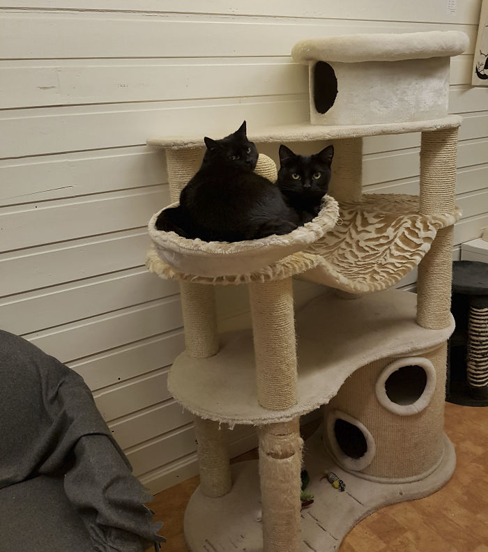 15 Reasons &#8216;Why I Hate My Job&#8217;