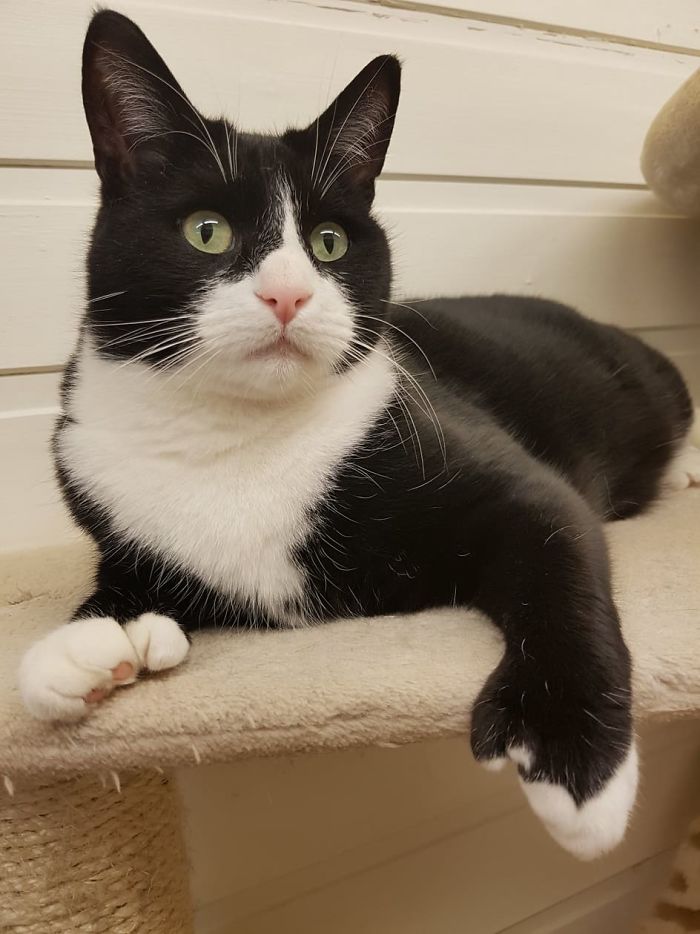 15 Reasons &#8216;Why I Hate My Job&#8217;