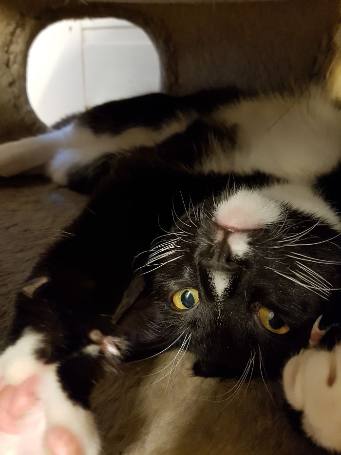 15 Reasons &#8216;Why I Hate My Job&#8217;