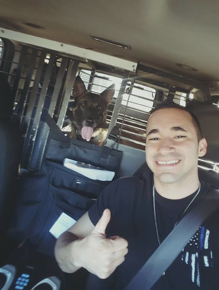 “You’re Not Fooling Anyone:” Cop Reveals 8 Tricks People Use To Avoid Getting A Ticket, And They’re Hilarious “You’re Not Fooling Anyone:” Cop Reveals 8 Tricks People Use To Avoid Getting A Ticket, And They’re Hilarious