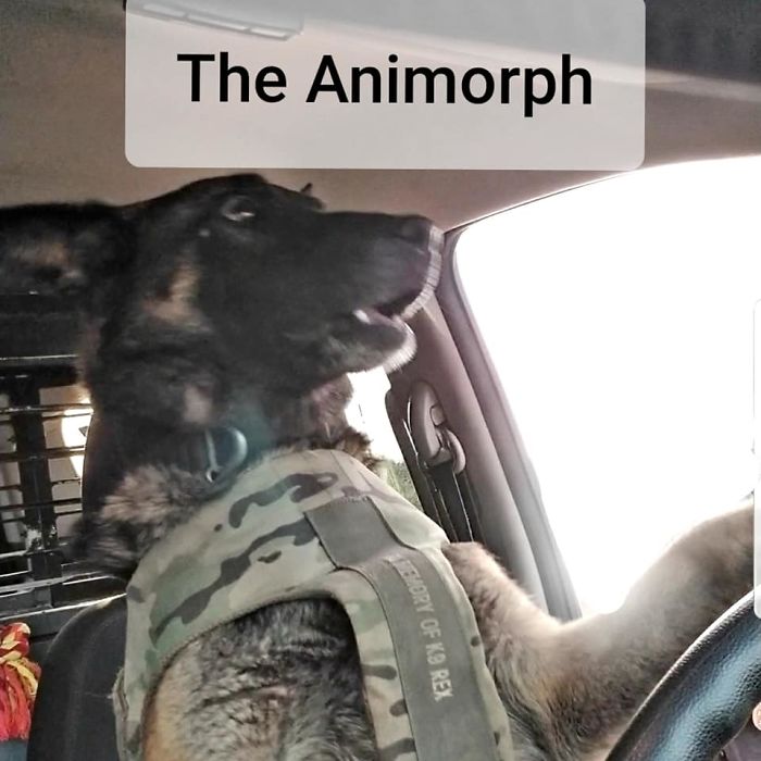 “You’re Not Fooling Anyone:” Cop Reveals 8 Tricks People Use To Avoid Getting A Ticket, And They’re Hilarious “You’re Not Fooling Anyone:” Cop Reveals 8 Tricks People Use To Avoid Getting A Ticket, And They’re Hilarious