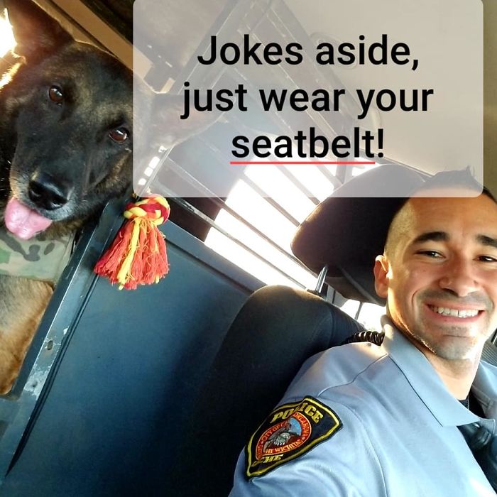 “You’re Not Fooling Anyone:” Cop Reveals 8 Tricks People Use To Avoid Getting A Ticket, And They’re Hilarious “You’re Not Fooling Anyone:” Cop Reveals 8 Tricks People Use To Avoid Getting A Ticket, And They’re Hilarious