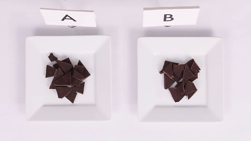 Chocolate Expert Guesses Cheap VS. Expensive Chocolate, Teaches Us A Lot Along The Way Chocolate Expert Guesses Cheap VS. Expensive Chocolate, Teaches Us A Lot Along The Way