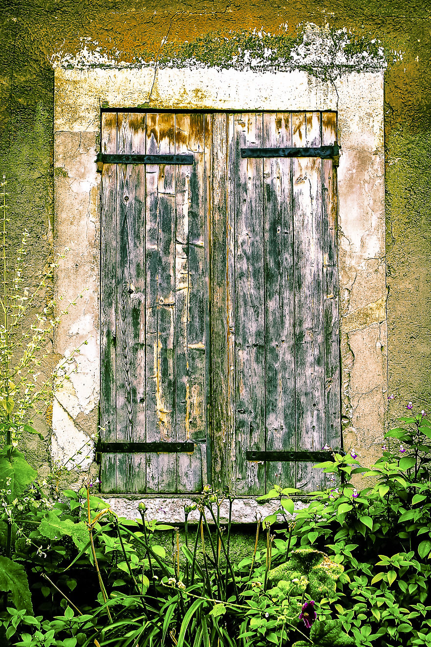 Flowery Windows Flowery Windows