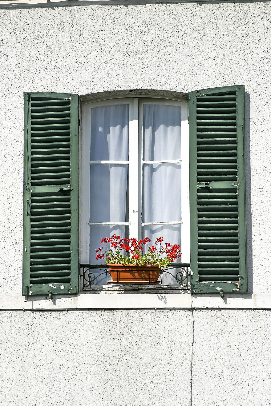 Flowery Windows Flowery Windows