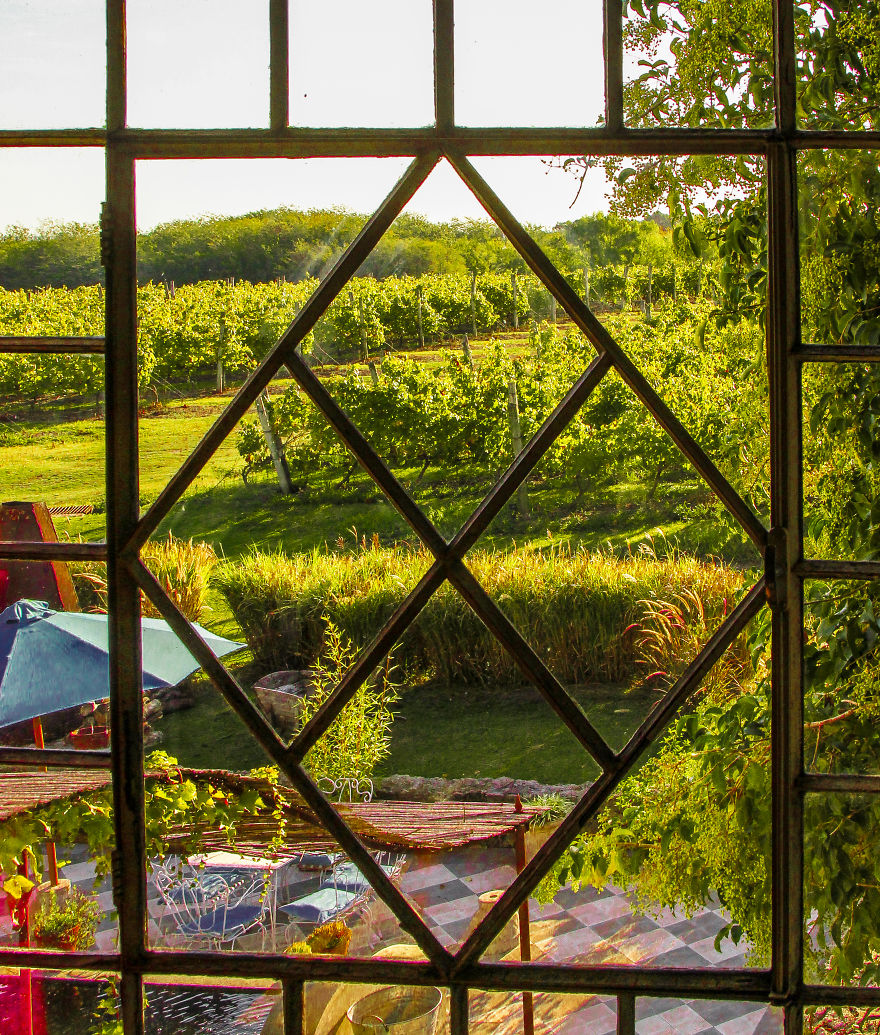 Flowery Windows Flowery Windows