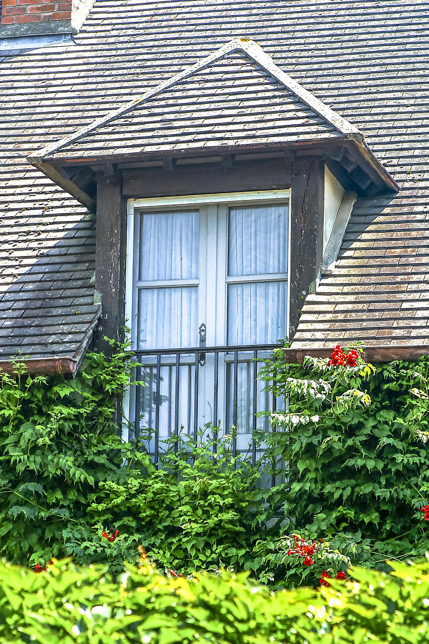 Flowery Windows Flowery Windows